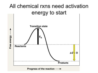 All chemical rxns need activation
energy to start
 