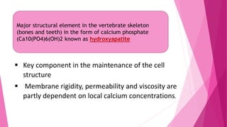 Major structural element in the vertebrate skeleton
(bones and teeth) in the form of calcium phosphate
(Ca10(PO4)6(OH)2 known as hydroxyapatite
 Key component in the maintenance of the cell
structure
 Membrane rigidity, permeability and viscosity are
partly dependent on local calcium concentrations.
 
