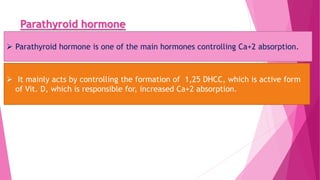 Parathyroid hormone
 Parathyroid hormone is one of the main hormones controlling Ca+2 absorption.
 It mainly acts by controlling the formation of 1,25 DHCC, which is active form
of Vit. D, which is responsible for, increased Ca+2 absorption.
 