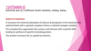 1)VITAMIN-D
Calcitriol acts at 3 different levels intestine, kidney, bones.
Action on Intestines:
It increases the intestinal absorption of calcium & phosphate in the intestinal cells
calcitriol binds with a cytosolic receptor to form a calcitriol-receptor complex .
This complex then approaches the nucleus and interacts with a specific DNA
leading to synthesis of specific Ca binding protein.
This protein increases the Ca uptake by intestine.
 