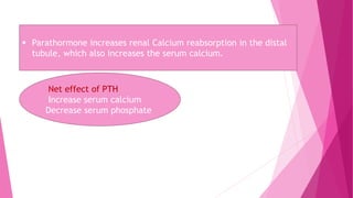  Parathormone increases renal Calcium reabsorption in the distal
tubule, which also increases the serum calcium.
Net effect of PTH
Increase serum calcium
Decrease serum phosphate
 