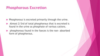 Phosphorous Excretion
 Phosphorous is excreted primarily through the urine.
 Almost 2/3rd of total phosphorous that is excreted is
found in the urine as phosphate of various cations.
 phosphorous found in the faeces is the non- absorbed
form of phosphorous.
 