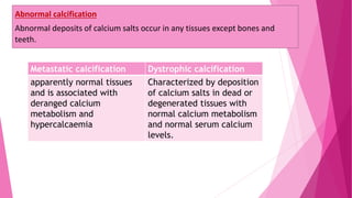 Abnormal calcification
Abnormal deposits of calcium salts occur in any tissues except bones and
teeth.
Metastatic calcification Dystrophic calcification
apparently normal tissues
and is associated with
deranged calcium
metabolism and
hypercalcaemia
Characterized by deposition
of calcium salts in dead or
degenerated tissues with
normal calcium metabolism
and normal serum calcium
levels.
 