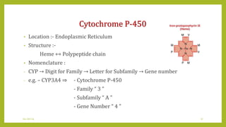 Cytochrome P-450
• Location :- Endoplasmic Reticulum
• Structure :-
Heme ⇿ Polypeptide chain
• Nomenclature :
- CYP → Digit for Family → Letter for Subfamily → Gene number
- e.g. – CYP3A4 ⇒ - Cytochrome P-450
- Family “ 3 ”
- Subfamily “ A ”
- Gene Number “ 4 ”
04-Jan-14 17
 
