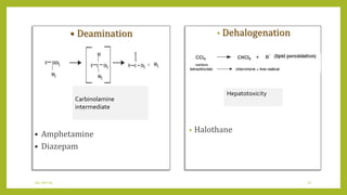 04-Jan-14 22
• Deamination
• Amphetamine
• Diazepam
Carbinolamine
intermediate
• Dehalogenation
• Halothane
Hepatotoxicity
 