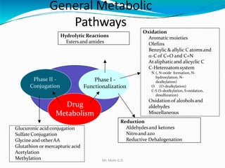 General Metabolic
Pathways
 Glucuronic acid conjugation
 Sulfate Conjugation
 Glycine and otherAA
 Glutathion or mercapturic acid
 Acetylation
 Methylation
Reduction
 Aldehydes and ketones
 Nitroand azo
 Reductive Dehalogenation
Oxidation
 Aromatic moieties
 Olefins
 Benzylic & allylic C atoms and
-C of C=O and C=N
 Ataliphaticand alicyclic C
 C-Heteroatomsystem
N.(, N-oxide formation, N-
hydroxylation, N-
dealkylation)
O. (O-dealkylation)
C-S (S-dealkylation, S-oxidation,
desulfuration)
 Oxidationof alcohols and
aldehydes
 Miscellaneous
Phase II -
Conjugation
Phase I -
Functionalization
Drug
Metabolism
Hydrolytic Reactions
 Estersand amides
Mr. Mote G.D
 