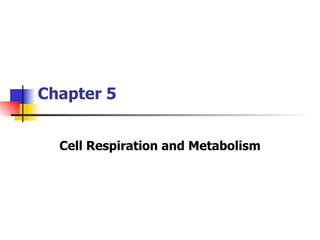 Chapter 5 Cell Respiration and Metabolism 