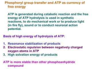 Phosphoryl group transfer and ATP as currency of
free energy
ATP is generated during catabolic reaction and the free
energy of ATP hydrolysis is used in synthetic
reactions, to do mechanical work or to produce light
(in fire fly), sound or to conduct neuronal action
potential.
Basis of high energy of hydrolysis of ATP:
1. Resonance stabilization of products
2. Electrostatic repulsion between negatively charged
oxygen atoms in ATP
3. High solvation energy of products
ATP is more stable than other phosphoanhydride
compound
 