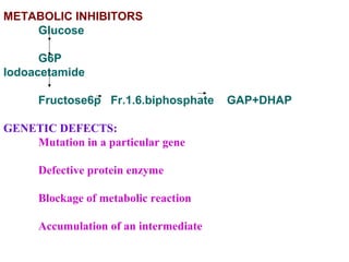 METABOLIC INHIBITORS
Glucose
G6P
Iodoacetamide
Fructose6p Fr.1.6.biphosphate GAP+DHAP
GENETIC DEFECTS:
Mutation in a particular gene
Defective protein enzyme
Blockage of metabolic reaction
Accumulation of an intermediate
 