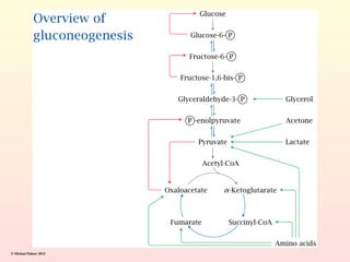 © Michael Palmer 2014
 