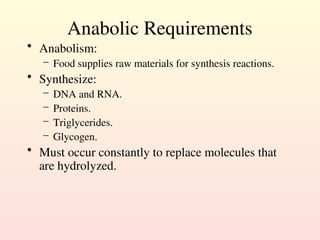 Anabolic Requirements
• Anabolism:
– Food supplies raw materials for synthesis reactions.
• Synthesize:
– DNA and RNA.
– Proteins.
– Triglycerides.
– Glycogen.
• Must occur constantly to replace molecules that
are hydrolyzed.
 