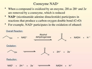 Coenzyme NAD+
• When a compound is oxidized by an enzyme, 2H as 2H+
and 2e-
are removed by a coenzyme, which is reduced
• NAD+
(nicotinamide adenine dinucleotide) participates in
reactions that produce a carbon-oxygen double bond (C=O)
• For example, NAD+
participates in the oxidation of ethanol:
Overall Reaction:
OH
H
O
+ NADH + H +
+ NAD+
Alcohol
dehydrogenase
Oxidation:
OH
H
O
+ 2H+
+ 2e -
Reduction:
NAD+
+ 2H +
+ 2e -
NADH + H +
 