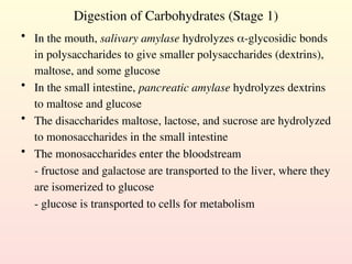 Digestion of Carbohydrates (Stage 1)
• In the mouth, salivary amylase hydrolyzes -glycosidic bonds
in polysaccharides to give smaller polysaccharides (dextrins),
maltose, and some glucose
• In the small intestine, pancreatic amylase hydrolyzes dextrins
to maltose and glucose
• The disaccharides maltose, lactose, and sucrose are hydrolyzed
to monosaccharides in the small intestine
• The monosaccharides enter the bloodstream
- fructose and galactose are transported to the liver, where they
are isomerized to glucose
- glucose is transported to cells for metabolism
 