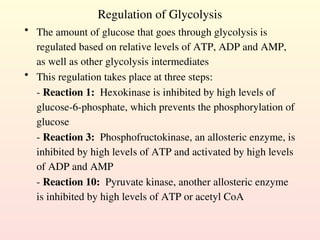 Regulation of Glycolysis
• The amount of glucose that goes through glycolysis is
regulated based on relative levels of ATP, ADP and AMP,
as well as other glycolysis intermediates
• This regulation takes place at three steps:
- Reaction 1: Hexokinase is inhibited by high levels of
glucose-6-phosphate, which prevents the phosphorylation of
glucose
- Reaction 3: Phosphofructokinase, an allosteric enzyme, is
inhibited by high levels of ATP and activated by high levels
of ADP and AMP
- Reaction 10: Pyruvate kinase, another allosteric enzyme
is inhibited by high levels of ATP or acetyl CoA
 