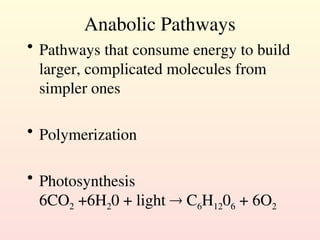 Anabolic Pathways
• Pathways that consume energy to build
larger, complicated molecules from
simpler ones
• Polymerization
• Photosynthesis
6CO2 +6H20 + light  C6H1206 + 6O2
 