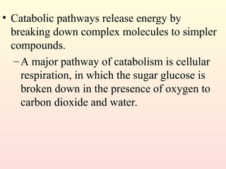• Catabolic pathways release energy by
breaking down complex molecules to simpler
compounds.
–A major pathway of catabolism is cellular
respiration, in which the sugar glucose is
broken down in the presence of oxygen to
carbon dioxide and water.
 
