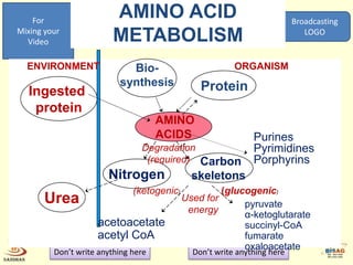Metabolism protein and fat | PPTX