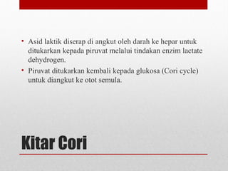 Kitar Cori
• Asid laktik diserap di angkut oleh darah ke hepar untuk
ditukarkan kepada piruvat melalui tindakan enzim lactate
dehydrogen.
• Piruvat ditukarkan kembali kepada glukosa (Cori cycle)
untuk diangkut ke otot semula.
 