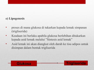 e) Lipogenesis
• proses di mana glukosa di tukarkan kepada lemak simpanan
(trigliserida)
• Keadaan ini berlaku apabila glukosa berlebihan ditukarkan
kepada asid lemak melalui ”Sintesis asid lemak”
• Asid lemak ini akan diangkut oleh darah ke tisu adipos untuk
disimpan dalam bentuk trigliserida
Glukosa Trigliserida
 