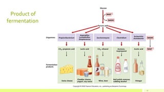 Product of
fermentation
10
 