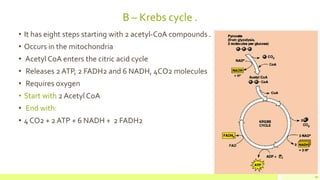 B – Krebs cycle .
• It has eight steps starting with 2 acetyl-CoA compounds .
• Occurs in the mitochondria
• Acetyl CoA enters the citric acid cycle
• Releases 2 ATP, 2 FADH2 and 6 NADH, 4CO2 molecules
• Requires oxygen
• Start with 2 Acetyl CoA
• End with:
• 4 CO2 + 2 ATP + 6 NADH + 2 FADH2
14
 