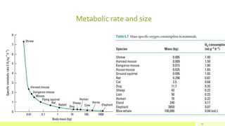 26
Metabolic rate and size
 
