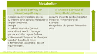 5
Metabolism
2- Anabolic pathways or
biosynthetic pathways .
1 - catabolic pathway or
breakdown pathways .
consume energy to build complicated
molecules from simpler one’s .
Example :
the synthesis of a protein from amino
acids .
metabolic pathways release energy
by breaking down complex molecules to
simpler compounds.
Example :
1 - cellular respiration ( aerobic
metabolism ), in which the sugar
glucose and other organic fuels are
broken down in the presence of oxygen
to carbon dioxide and water.
2- fermentation ( anaerobic ) doesn’t
require oxygen .
D
o
w
n
h
i
l
l
U
p
h
i
l
l
note :Energy is the capacity to cause change or it is the ability to do work .
 