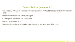 Fermentation ( anaerobic )
• Anaerobic pathway to produceATP from glycolysis without the Krebs and electron transfer
chain .
• Breakdown of glucose without oxygen .
• Takes place entirely in the cytoplasm .
• results in only two ATP .
• When cells need energy quick they will use this pathway for a short time
9
 