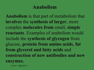 Comprehensive Overview of Metabolism and Nutrition in Human Anatomy and ...