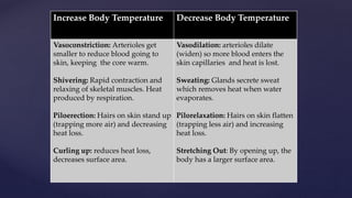Increase Body Temperature Decrease Body Temperature
Vasoconstriction: Arterioles get
smaller to reduce blood going to
skin, keeping the core warm.
Shivering: Rapid contraction and
relaxing of skeletal muscles. Heat
produced by respiration.
Piloerection: Hairs on skin stand up
(trapping more air) and decreasing
heat loss.
Curling up: reduces heat loss,
decreases surface area.
Vasodilation: arterioles dilate
(widen) so more blood enters the
skin capillaries and heat is lost.
Sweating: Glands secrete sweat
which removes heat when water
evaporates.
Pilorelaxation: Hairs on skin flatten
(trapping less air) and increasing
heat loss.
Stretching Out: By opening up, the
body has a larger surface area.
 