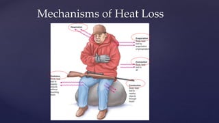 Mechanisms of Heat Loss
 