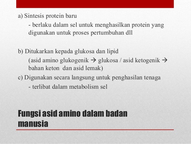 Metabolisma Protein Asid Amino