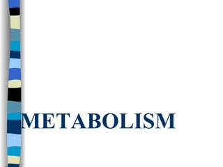 METABOLISM 