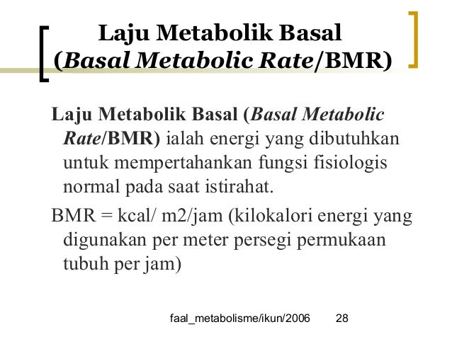 Metabolisme