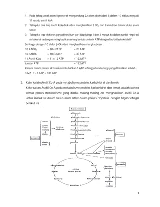 1. Pada tahap awal asam lignoserat mengandung 22 atom dioksidasi B dalam 10 siklus menjadi
        11 residu asetil KoA
     2. Tahap ke dua tiap asetil KoA dioksidasi menghasilkan 2 CO2 dan 8 elektron dalam siklus asam
        sitrat
     3. Tahap ke tiga elektron yang dihasilkan dari tiap tahap 1 dan 2 masuk ke dalam rantai respirasi
        mitokondria dengan menghasilkan energi untuk sintesis ATP dengan fosforilasi oksidatif
     Sehingga dengan 10 siklus -Oksidasi menghasilkan energi sebesar :
     10 FADH2          = 10 x 2ATP            = 20 ATP
     10 NADH2          = 10 x 3 ATP           = 30 ATP
     11 Asetil-KoA     = 11 x 12 ATP          = 123 ATP
     Jumlah ATP                               = 182 ATP
     Karena dalam proses aktivasi membutuhkan 1 ATP sehingga total energi yang dihasilkan adalah :
     182ATP – 1 ATP = 181 ATP


2.   Keterkaiatn Asetil Co-A pada metabolisme protein, karbohidrat dan lemak
     Keterkaitan Asetil Co-A pada metabolisme protein, karbohidrat dan lemak adalah bahwa
     semua proses metabolisme yang dilalui masing-masing zat menghasilkan asetil Co-A
     untuk masuk ke dalam siklus asam sitrat dalam proses respirasi dengan bagan sebagai
     berikut ini :
 