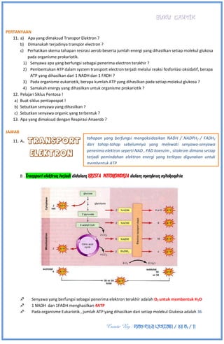 BUKU CANTIK
Create By : DIAN PUJI LESTARI / XII A3 / 11
PERTANYAAN
11. a) Apa yang dimaksud Transpor Elektron ?
b) Dimanakah terjadinya transpor electron ?
c) Perhatikan skema tahapan resirasi aerob beserta jumlah energi yang dihasilkan setiap molekul glukosa
pada organisme prokariotik.
1) Senyawa apa yang berfungsi sebagai penerima electron terakhir ?
2) Pembentukan ATP dalam system transport electron terjadi melalui reaksi fosforilasi oksidatif, berapa
ATP yang dihasilkan dari 1 NADH dan 1 FADH ?
3) Pada organisme eukariotik, berapa kumlah ATP yang dihasilkan pada setiap molekul glukosa ?
4) Samakah energy yang dihasilkan untuk organisme prokariotik ?
12. Pelajari Siklus Pentosa !
a) Buat siklus pentapospat !
b) Sebutkan senyawa yang dihasilkan ?
c) Sebutkan senyawa organic yang terbentuk ?
13. Apa yang dimaksud dengan Respirasi Anaerob ?
JAWAB
11. A.
B . Transport elektron terjadi didalam KRISTA MITOKONDRIA dalam membran mitokondria
 Senyawa yang berfungsi sebagai penerima elektron terakhir adalah O2 untuk membentuk H2O
 1 NADH dan 1FADH menghasilkan 4ATP
 Pada organisme Eukariotik , jumlah ATP yang dihasilkan dari setiap molekul Glukosa adalah 36
tahapan yang berfungsi mengoksidasikan NADH / NADPH2 / FADH2
dari tahap-tahap sebelumnya yang melewati senyawa-senyawa
penerima elektron seperti NAD , FAD koenzim , sitokrom dimana setiap
terjadi pemindahan elektron energi yang terlepas digunakan untuk
membentuk ATP
 
