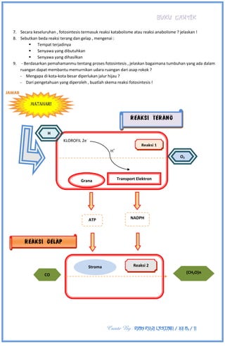 BUKU CANTIK
Create By : DIAN PUJI LESTARI / XII A3 / 11
7. Secara keseluruhan , fotosintesis termasuk reaksi katabolisme atau reaksi anabolisme ? jelaskan !
8. Sebutkan beda reaksi terang dan gelap , mengenai :
 Tempat terjadinya
 Senyawa yang dibutuhkan
 Senyawa yang dihasilkan
9. - Berdasarkan pemahamanmu tentang proses fotosintesis , jelaskan bagaimana tumbuhan yang ada dalam
ruangan dapat membantu memurnikan udara ruangan dari asap rokok ?
- Mengapa di kota-kota besar diperlukan jalur hijau ?
- Dari pengetahuan yang diperoleh , buatlah skema reaksi fotosintesis !
JAWAB
MATAHARI
KLOROFIL 2e-
H+
Grana Transport Elektron
Stroma
Reaksi 1
Reaksi 2
H
O2
(CH2O)n
CO
2
ATP NADPH
Reaksi Gelap
Reaksi Terang
 