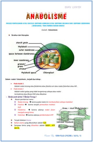 BUKU CANTIK
Create By : DIAN PUJI LESTARI / XII A3 / 11
ANABOLISME
proses penyusunan atau sintesis senyawa kompleks atau senyawa organik dari senyawa sederhana
( anorganik) yang membutuhkan energi
Contoh : Fotosintesis
Struktur dari kloroplas
Dalam reaksi Fotosintesis , terjadi dua tahap :
 Pada kotak 1
Adalah reaksi terang atau fotokimia atau fotolisis air atau reaksi fotorilasi atau Hill .
 Pada kotak 2
Adalah reaksi gelap yang tidak tergantung cahaya atau reaksi
termokimia atau fiksasi CO2 atau Blackma
o Reaksi pada kotak 1 ( Reaksi Terang )
Alasan pemberian nama :
 Reaksi terang  karena pada reaksi ini membutuhkan cahaya matahari
 Fotolisis  karena terjadi pemecahan molekul
H2O
 Fotokimia  karena adanya reaksi futon
menjadi energi kimia
 Fotorilasi  karena adanya pembentukan ATP
Terjadi didalam Grana
Bahan utama yang dibutuhkan adalah H2O
Senyawa kimia yang dihasilkan adalah NADP , ATP
dan O2
 