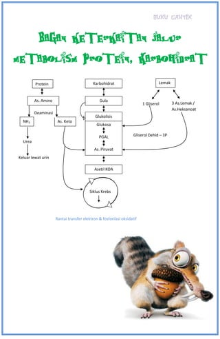 BUKU CANTIK
Create By : DIAN PUJI LESTARI / XII A3 / 11
Bagan keterkaitan jalur
metabolism Protein, Karbohidrat
Karbohidrat
As. Keto
Protein
Asetil KOA
Glukosa
PGAL
As. Piruvat
Glukolisis
Lemak
GulaAs. Amino
1 Gliserol
Gliserol Dehid – 3P
3 As.Lemak /
As.Heksanoat
Deaminasi
NH3
Urea
Keluar lewat urin
Siklus Krebs
Rantai transfer elektron & fosforilasi oksidatif
 