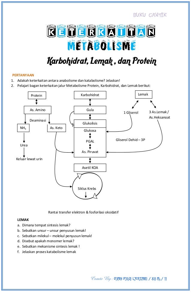Metabolisme Metabolisme