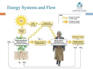 Energy Transformation and Cellular Metabolism | PPTX
