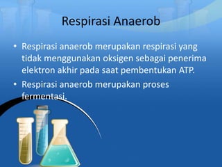 Respirasi Anaerob
• Respirasi anaerob merupakan respirasi yang
tidak menggunakan oksigen sebagai penerima
elektron akhir pada saat pembentukan ATP.
• Respirasi anaerob merupakan proses
fermentasi.
 