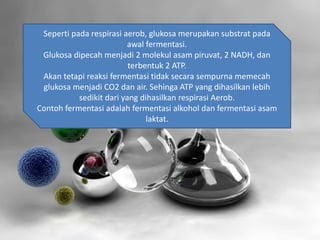 Seperti pada respirasi aerob, glukosa merupakan substrat pada
awal fermentasi.
Glukosa dipecah menjadi 2 molekul asam piruvat, 2 NADH, dan
terbentuk 2 ATP.
Akan tetapi reaksi fermentasi tidak secara sempurna memecah
glukosa menjadi CO2 dan air. Sehinga ATP yang dihasilkan lebih
sedikit dari yang dihasilkan respirasi Aerob.
Contoh fermentasi adalah fermentasi alkohol dan fermentasi asam
laktat.
 