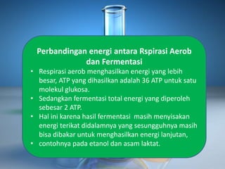 Perbandingan energi antara Rspirasi Aerob
dan Fermentasi
• Respirasi aerob menghasilkan energi yang lebih
besar, ATP yang dihasilkan adalah 36 ATP untuk satu
molekul glukosa.
• Sedangkan fermentasi total energi yang diperoleh
sebesar 2 ATP.
• Hal ini karena hasil fermentasi masih menyisakan
energi terikat didalamnya yang sesungguhnya masih
bisa dibakar untuk menghasilkan energi lanjutan,
• contohnya pada etanol dan asam laktat.
 