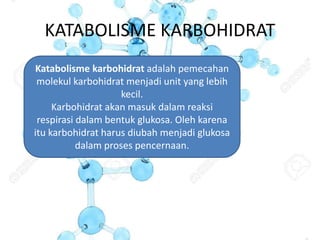 KATABOLISME KARBOHIDRAT
Katabolisme karbohidrat adalah pemecahan
molekul karbohidrat menjadi unit yang lebih
kecil.
Karbohidrat akan masuk dalam reaksi
respirasi dalam bentuk glukosa. Oleh karena
itu karbohidrat harus diubah menjadi glukosa
dalam proses pencernaan.
 