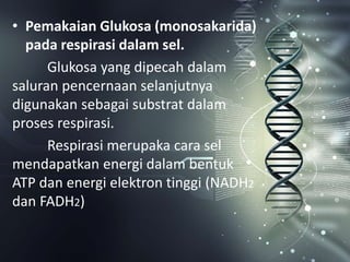• Pemakaian Glukosa (monosakarida)
pada respirasi dalam sel.
Glukosa yang dipecah dalam
saluran pencernaan selanjutnya
digunakan sebagai substrat dalam
proses respirasi.
Respirasi merupaka cara sel
mendapatkan energi dalam bentuk
ATP dan energi elektron tinggi (NADH2
dan FADH2)
 