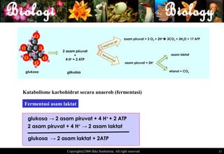 H

       H   O                                                    asam piruvat + 3 O2 + 2H+ 3CO2 + 3H2O + 17 ATP
   H  C                                               asi
                                                          sel
   H                                          re spir
HO C C O
       H H         2 asam piruvat
    CH C                  +                  fer
                                                me                                           asam laktat
 H
   OH C O      H
                     4 H + 2 ATP
                        +                         n ta
                                                         si
           O                                                    asam piruvat + 2H+
           H
  glukosa            glikolisis                                                             etanol + CO2




 Katabolisme karbohidrat secara anaerob (fermentasi)

 Fermentasi asam laktat

   glukosa → 2 asam piruvat + 4 H+ + 2 ATP
   2 asam piruvat + 4 H+ → 2 asam laktat

   glukosa → 2 asam laktat + 2ATP

                     Copyright@2006 Ikke Soehartina. All right reserved                                           1111
 