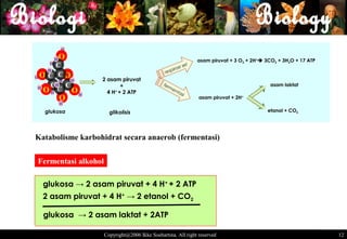 H

        H   O                                                     asam piruvat + 3 O2 + 2H+ 3CO2 + 3H2O + 17 ATP
    H C                                                 asi
                                                            sel
   H                                            re spir
HO C CO
       H H          2 asam piruvat
    CH C                   +                   fer
                                                  me                                           asam laktat
 H
   OH C O       H
                      4 H + 2 ATP
                         +                          nt a
                                                        si
            O                                                     asam piruvat + 2H+
            H
  glukosa              glikolisis                                                             etanol + CO2




Katabolisme karbohidrat secara anaerob (fermentasi)


Fermentasi alkohol

  glukosa → 2 asam piruvat + 4 H+ + 2 ATP
  2 asam piruvat + 4 H+ → 2 etanol + CO2

  glukosa → 2 asam laktat + 2ATP

                     Copyright@2006 Ikke Soehartina. All right reserved                                             1212
 