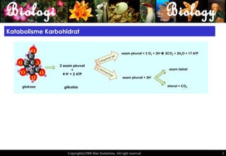 Katabolisme Karbohidrat

              H

          H   O                                                       asam piruvat + 3 O2 + 2H+ 3CO2 + 3H2O + 17 ATP
      H C                                              i ra s
                                                             i se
                                                                  l
     H                                          resp
  HO C CO
         H H          2 asam piruvat
      CH C                   +                 fer
                                                  me                                               asam laktat
   H
     OH C O       H
                        4 H + 2 ATP
                           +                        nt a
                                                        si
              O                                                       asam piruvat + 2H+
              H
     glukosa            glikolisis                                                                etanol + CO2




                          Copyright@2006 Ikke Soehartina. All right reserved                                            2 2
 
