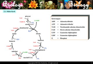 2.1. Siklus Kreb

                                      piruvat
                           NAD  +
                                                                                   Keterangan :
                                                         CoASH
                           NADH+H                                                  ADP       =   Adenosin difosfat
                                                   CO2
                                      acetil Co-A                                  ATP       =   Adenosin trifosfat

                           oksaloasetat                                            NAD       =   Nicotinamide adenine dinucleotide
              NADH+H
            NAD+                                                                   FAD       =   Flavin adenine dinucleotide
                                            H 2O
                                                                                   GTP       =   Guanosine diphosphate
             malat                                        sitrate
                                                                                   GDP       =   Guanosine diphosphate
                                                                                   Pi        =   Phosphat
                     H2O
                                                               isositrat
       fumarat
                                                    NAD   +




    FADH2                                            NADH+H
                                                                           CO2
       FAD
                                             NAD+        α ketoglutarat
             suksinat
                           Pi       CoASH      NADH+H

              GTP

                        GDP         succinil CoA
                                                              CO2

                                            Copyright@2006 Ikke Soehartina. All right reserved                                       5 5
 